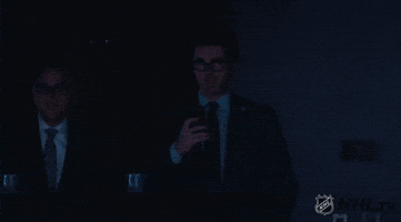 proud ice hockey GIF by NHL