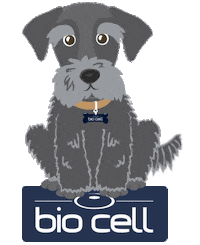 biocell biocell celulastroncobiocell celulastronco Sticker