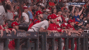 Excited World Series GIF by MLB