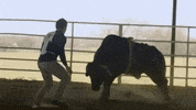 fall pain GIF by Discovery Europe