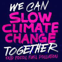 Climate Crisis Energy GIF by INTO ACTION