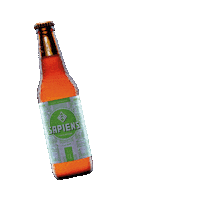 sapiensbeer cerveza guatemala guate chela Sticker