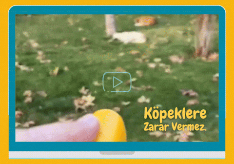 UltraSonik Köpek Kovucu Videosu