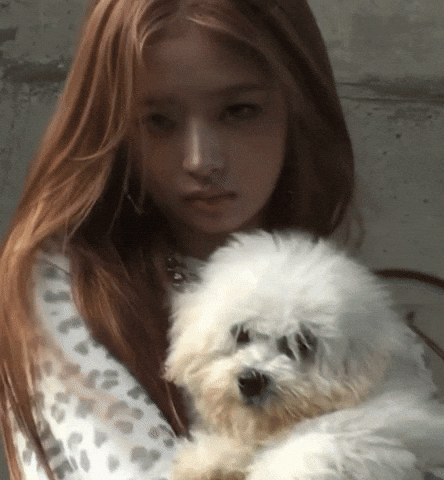 Puppy Dive GIF