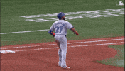 Lets Go Sport GIF by Toronto Blue Jays