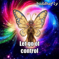 Stars Joy GIF by BuddhaFlyJourney