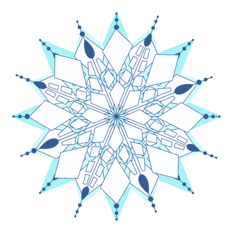 browneyedesign giphyupload snow crystal fractal Sticker