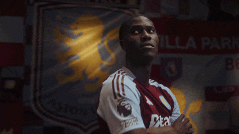 Avfc GIF by Aston Villa FC