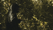 merge records gorilla GIF by Spider Bags