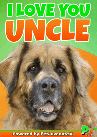 PetJuvenate petjuvenate henlo hooman fren love rescue dogs treatos and woofer for pupper GIF