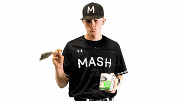 MNMASH baseball mlb ball twins GIF