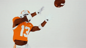 Football Baseball GIF by Tennessee Athletics