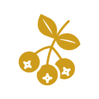 KarelsFresh stickers fruit gezond bes Sticker
