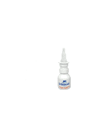 Animated Sticker