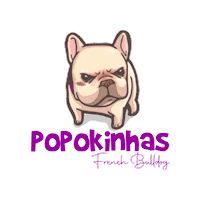 Popokinhasbulls Sticker by Chef Popokinhas
