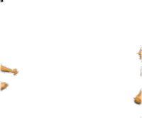 Swimming And Diving Dance Sticker by Delaware Blue Hens