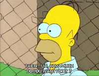 Season 1 GIF by The Simpsons