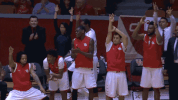 houston GIF by UH Cougars