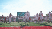 College Football GIF by Wisconsin Badgers