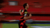 Sunrisers Hyderabad Running GIF