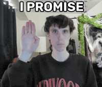 Hand Up I Swear GIF