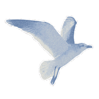 Summer Beach Sticker by Taylor Swift