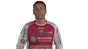 Handball-Bundesliga Love Sticker by LIQUI MOLY HBL