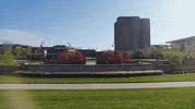 Kent State College GIF by Kent State University