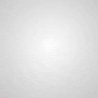 elondao crypto twitter cryptocurrency social GIF