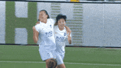 Lets Go Win GIF by National Women's Soccer League