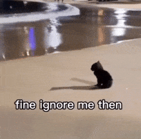 Cat Think GIF