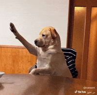 Brhowmre GIF