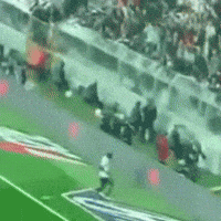 Tribün Coşkusu GIF