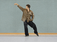 redtigerclub relaxing martial arts alignment tai chi GIF