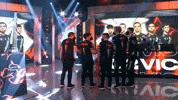 Celebration Hype GIF by G2 Esports