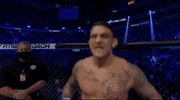 Dustin Poirier Sport GIF by UFC