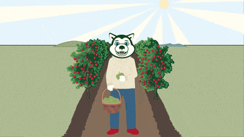 Nuexperience GIF by Northeastern University