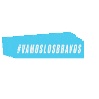 SM_AricaOficial  Sticker