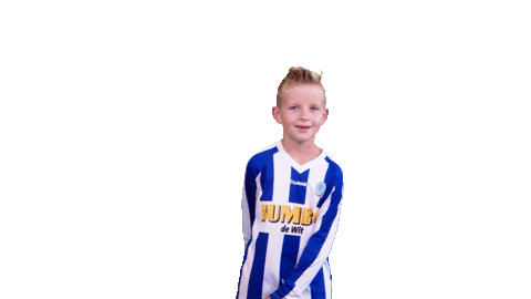 Voetbalvereniging_Scherpenzeel giphyupload sport voetbal bal Sticker