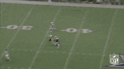 Washington Football Team GIF by NFL