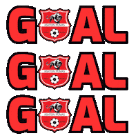 Lets Go Football Sticker by Ashton Pumas Womens