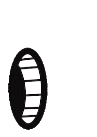 Eyes Wink Sticker by drü egg