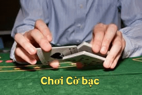 gamebaidoithuongkeonhanh giphygifmaker cobac gamebaidoithuong keonhanh GIF