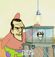 ds GIF