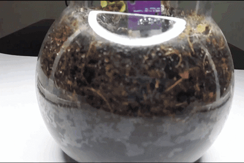 SemiconMedia giphyupload arduino home automation soil moisture sensor GIF