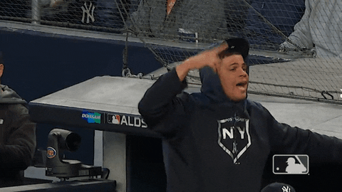 Banging New York Yankees GIF by MLB