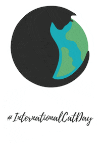 icatcare happycat internationalcatday internationalcatday2020 Sticker