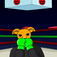 Winning Shiba Inu GIF by MILLI