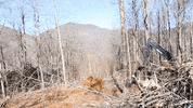 John Deere Excavator GIF by JC Property Professionals