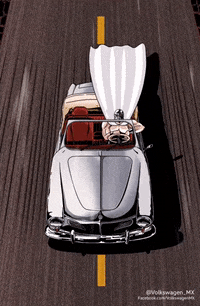volkswagen vw GIF